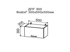 Шкаф верхний ДПГ500 горизонтальный в Муравленко - muravlenko.магазин96.com | фото