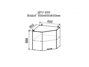 Шкаф верхний ДПУ600 угловой в Муравленко - muravlenko.магазин96.com | фото